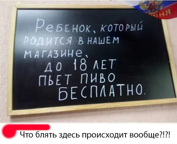 Немного картинок