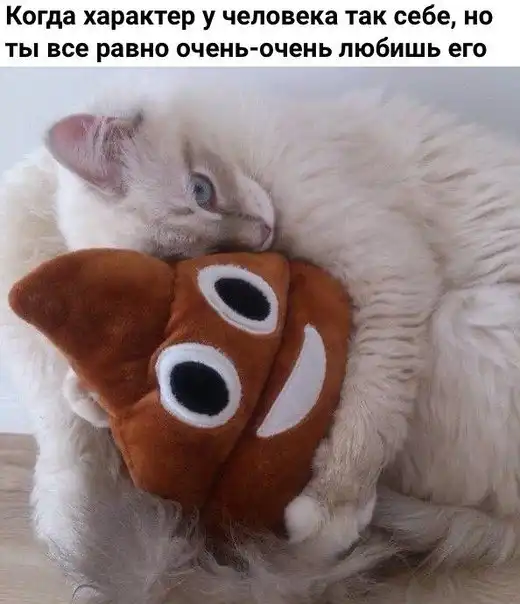 Весёлые картинки