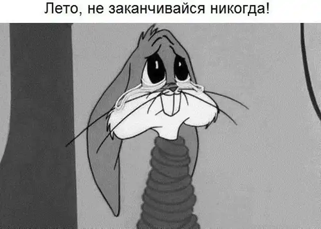 Картинки и мемы о завершении лета