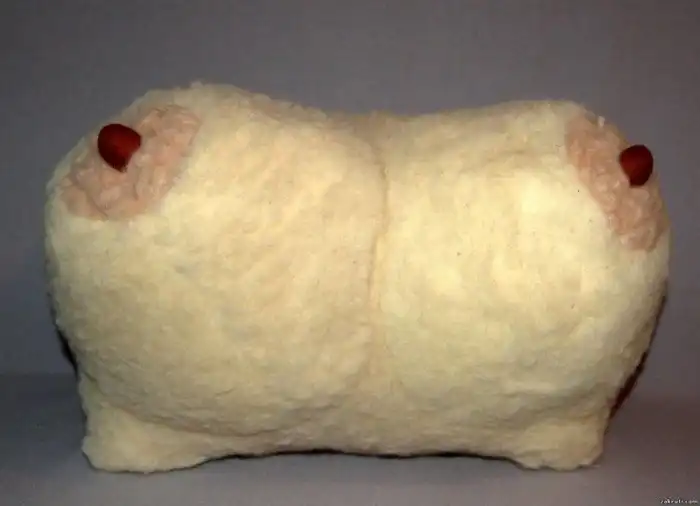 Очень необычные подушки