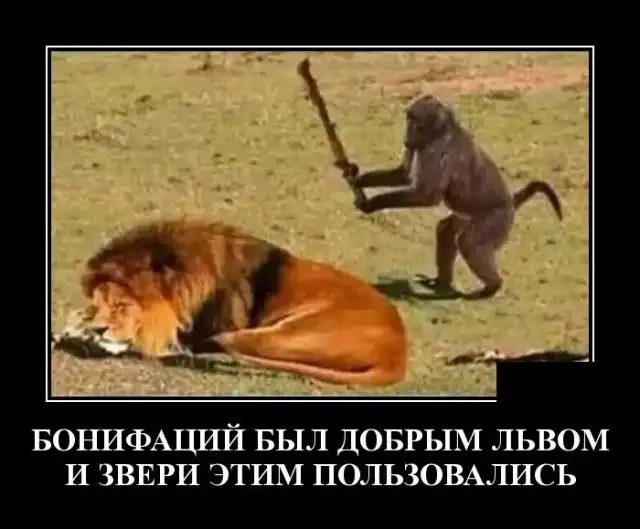 Демотиваторы