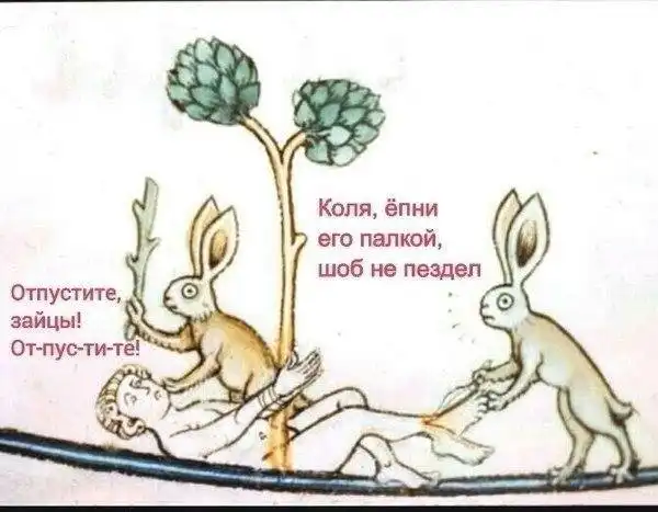 Немного картинок