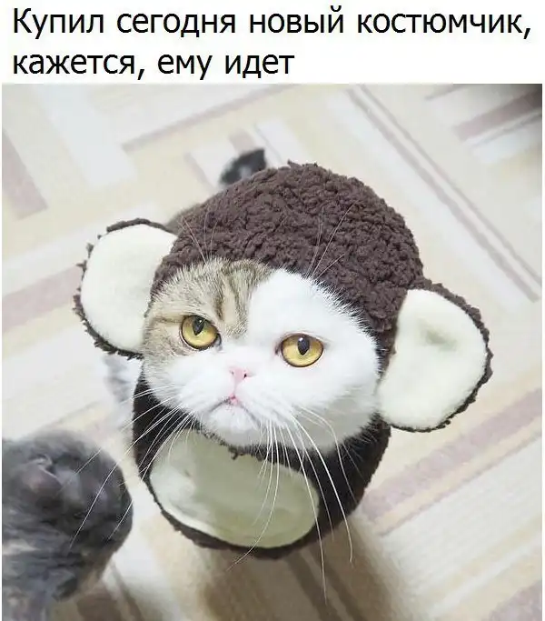 Немного интересных и добрых картинок