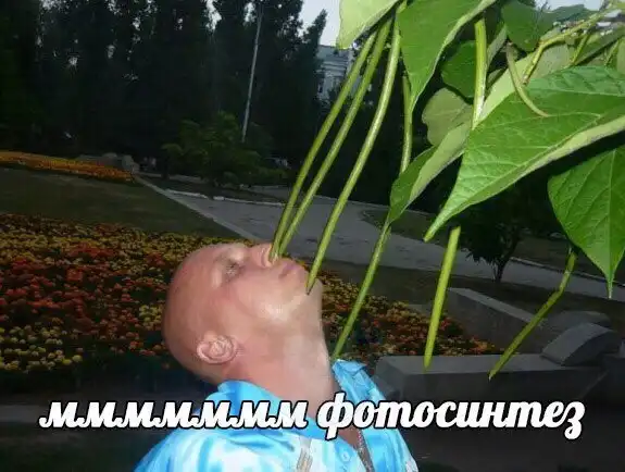 Да они же там все наркоманы!