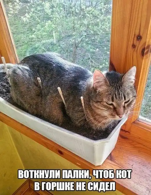 Подборка картинок