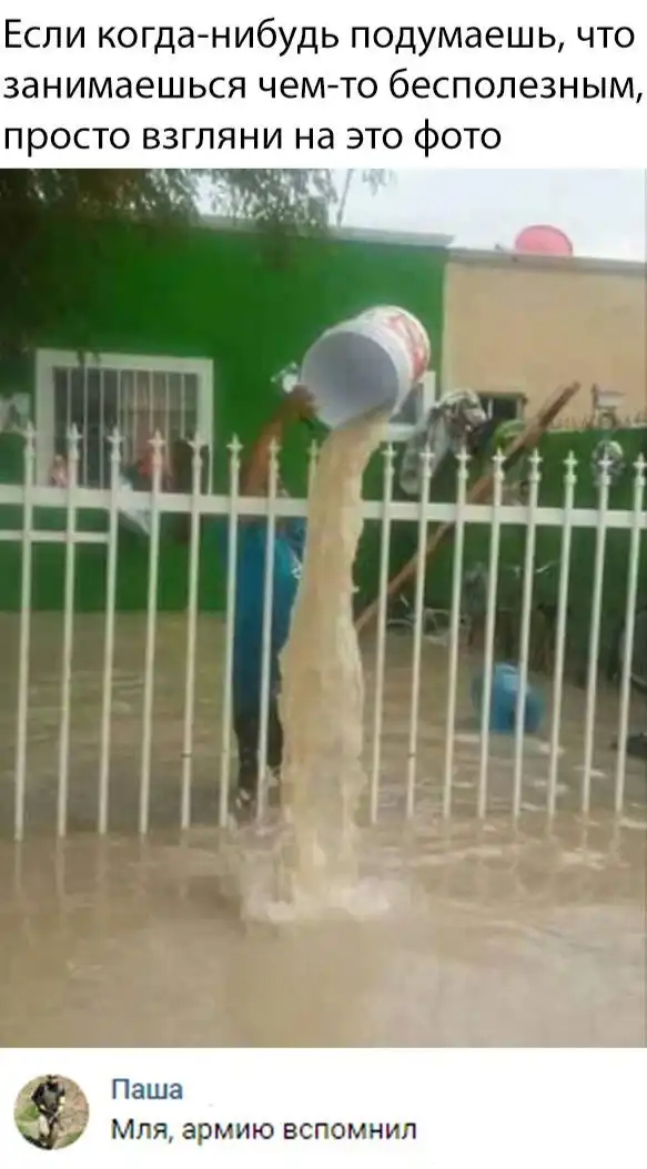 Смешные картинки