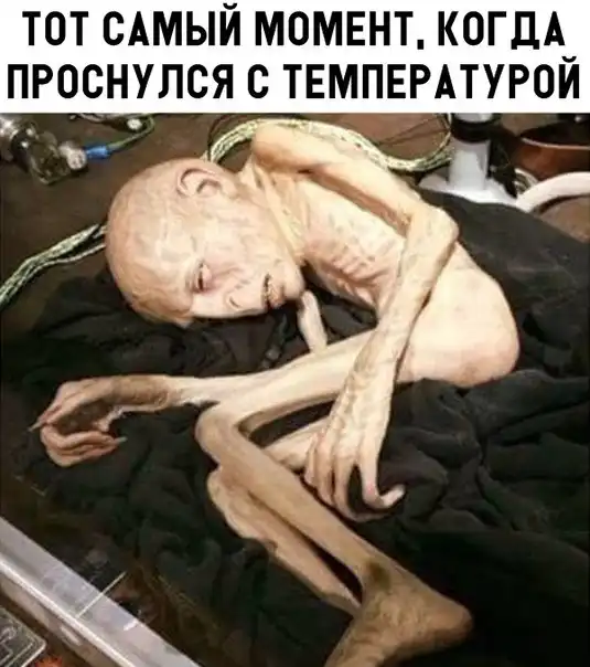 Картинкопост