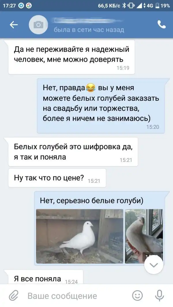 Разведение голубей и странные клиенты