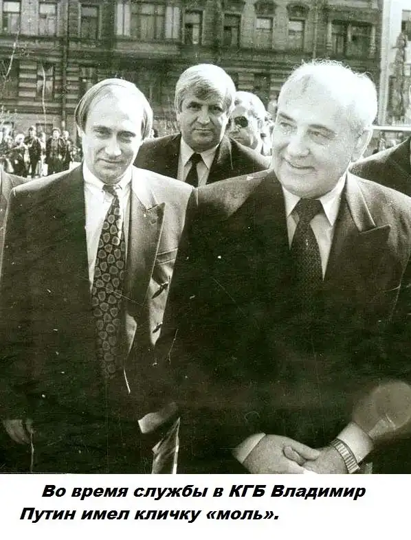 Подборка бесполезных фактов