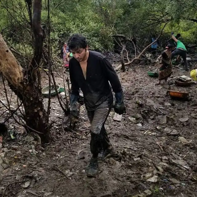 На очищенный от мусора пляж в Мумбаи вернулись черепахи