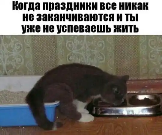 Специфический юмор