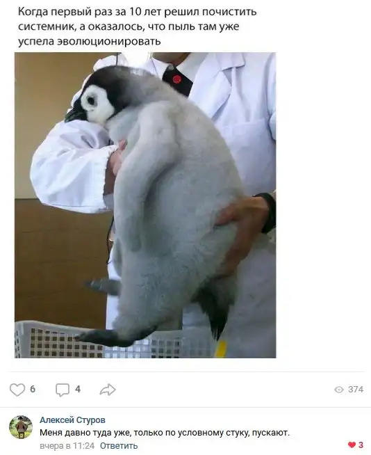 Смешные комментарии из социальных сетей