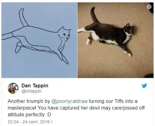 "Примитивные коты". Соцсети захватил новый флешмоб