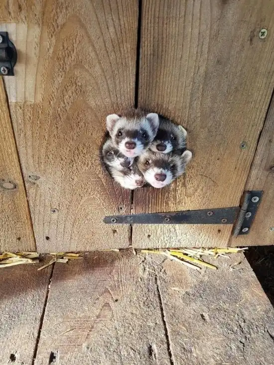 Прикольные картинки абавсём:D