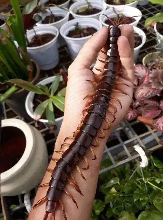 Подборка картинок