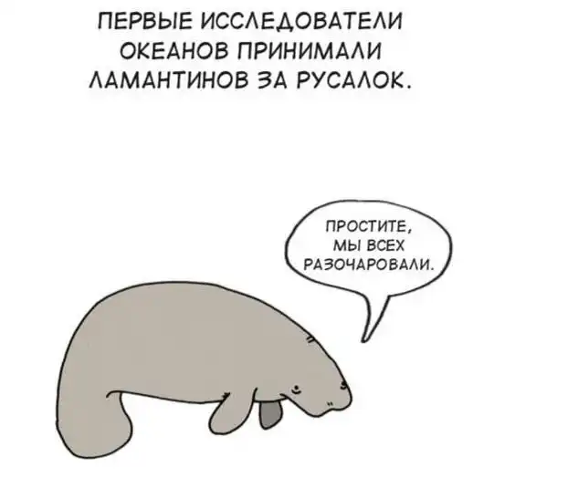 Грустные факты о животных | uCrazy.org
