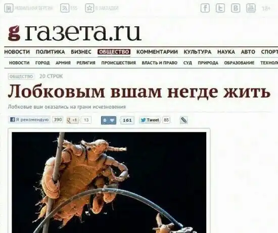 Картинки всяческие. 23 октября 2018. Много!