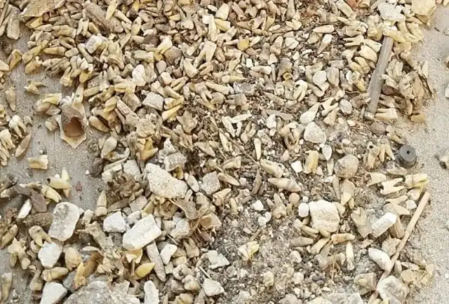 Жуткая находка при реставрации здания начала 20 века