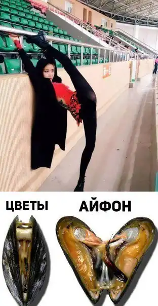Нестандартный юмор :)