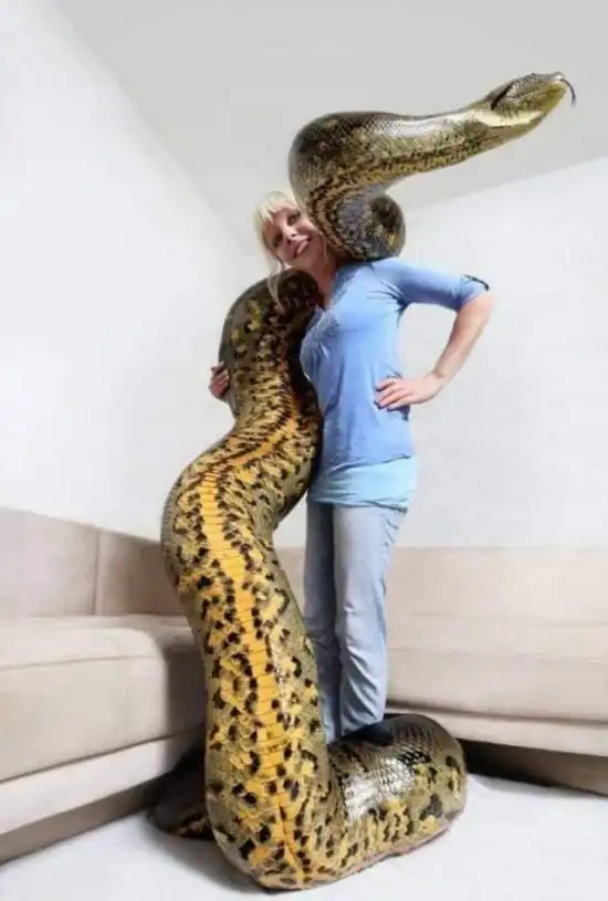 Прикольные картинки абавсём:D