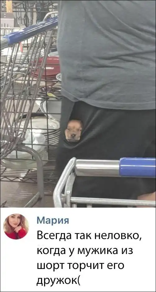 Смешные комментарии из социальных сетей