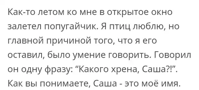 Люди говорят в социальных сетях