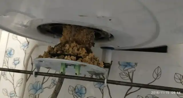 Решил провести обслуживание своего водонагревателя и очень удивился, когда его вскрыл