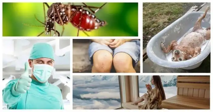 15 исключительных примеров суперполезности обычного хозяйственного мыла