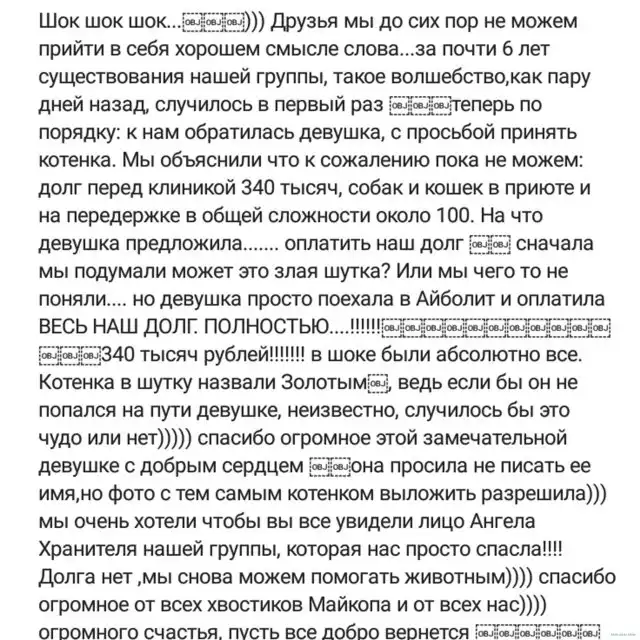 В Майкопе девушка решила финансовые проблемы приюта для животных