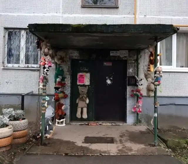 Псковский дом "повышенного комфорта"