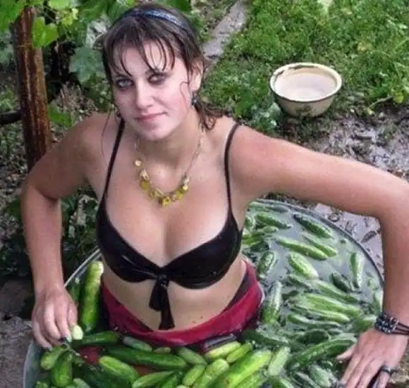 Никогда не ешьте огурцы из холодильника одинокой женщины