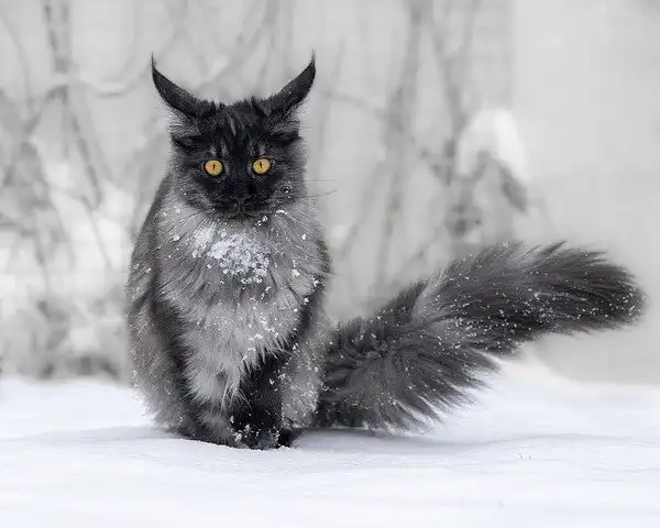 Ночное ассорти