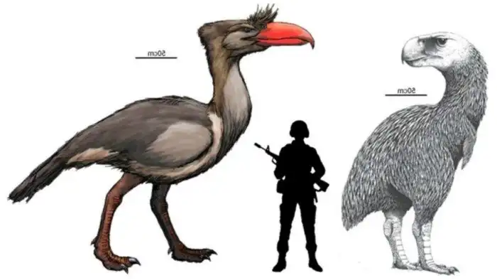 Фороракус: Птица-палач