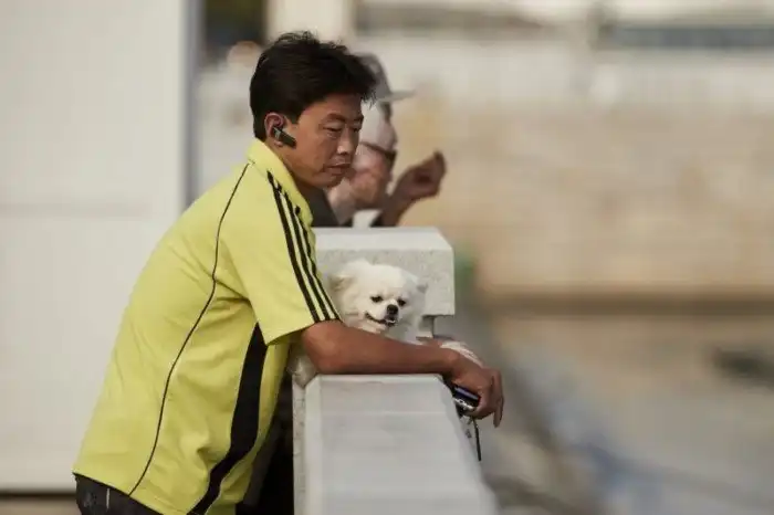 Богатые люди Северной Кореи