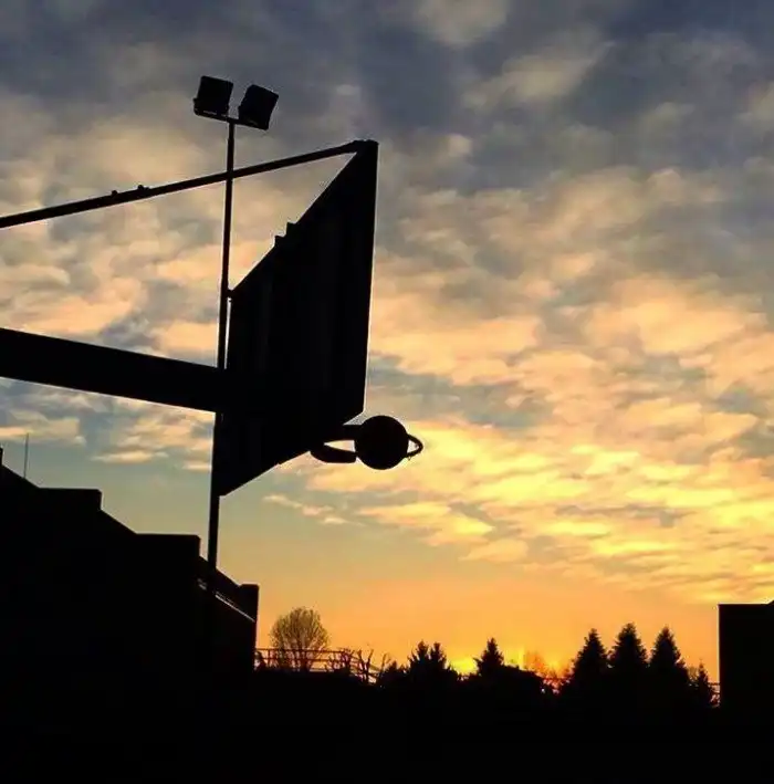 28 шикарных снимков, сделанных в подходящий момент