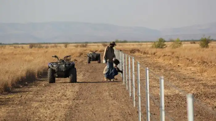 Забор, длиною в континент - как австралийцы от кроликов спасались