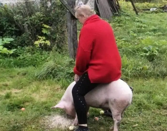 Подложи родственникам свинью на Новый год: необычные идеи подарков