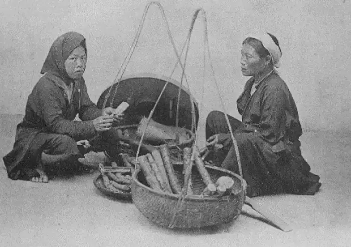 Вьеты - кто такие?