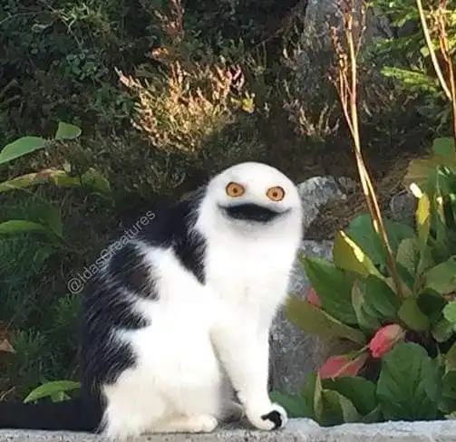 Девушка превращает питомцев в монстров при помощи фотошопа