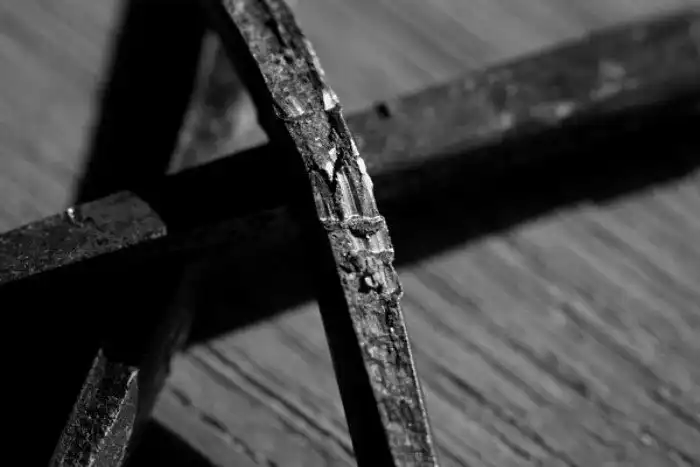 Соль, перья, ракушки: самые необычные деньги в истории человечества