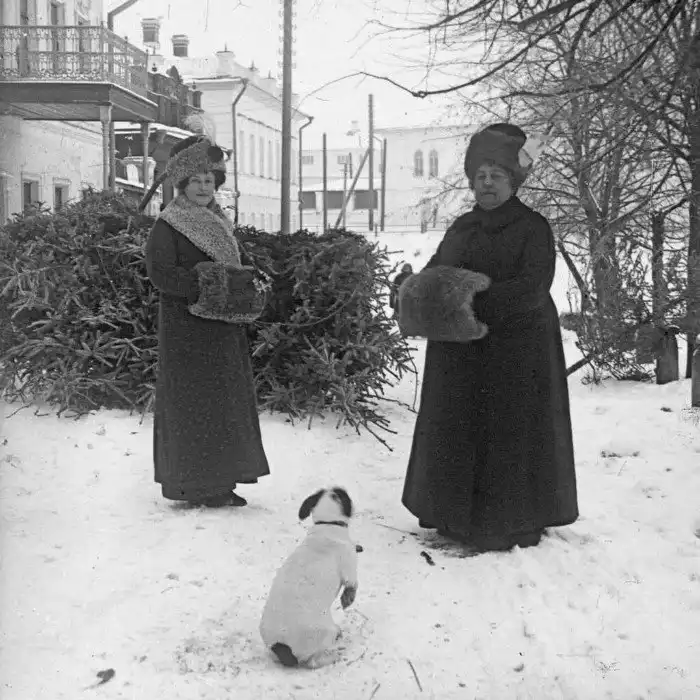 Как выбрать и нарядить новогоднюю елку: советы из царской России и СССР