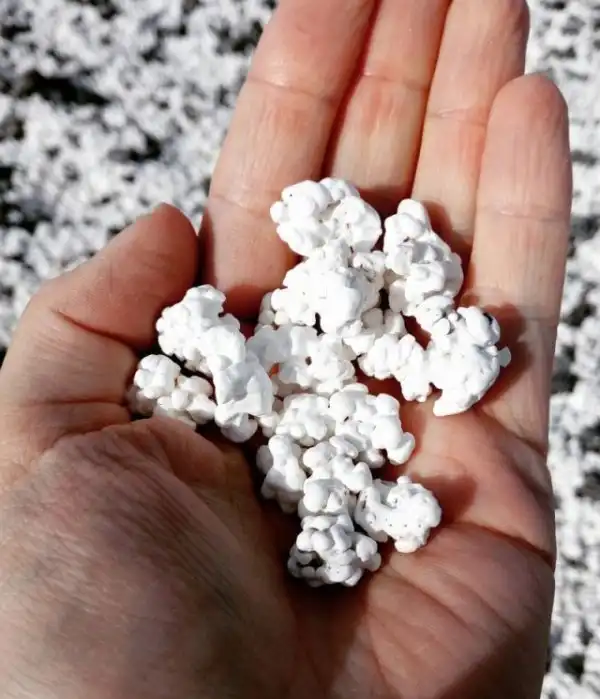 "Попкорновый пляж" на Канарских островах