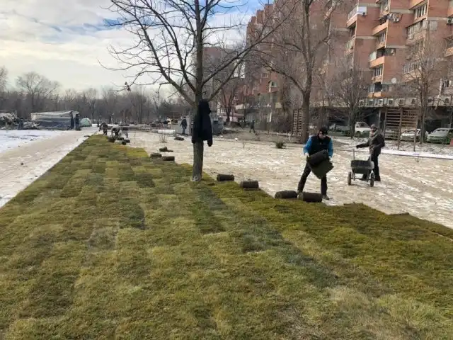 В Ростове-на-Дону в новом сквере укладывают рулонный газон прямо на сугробы