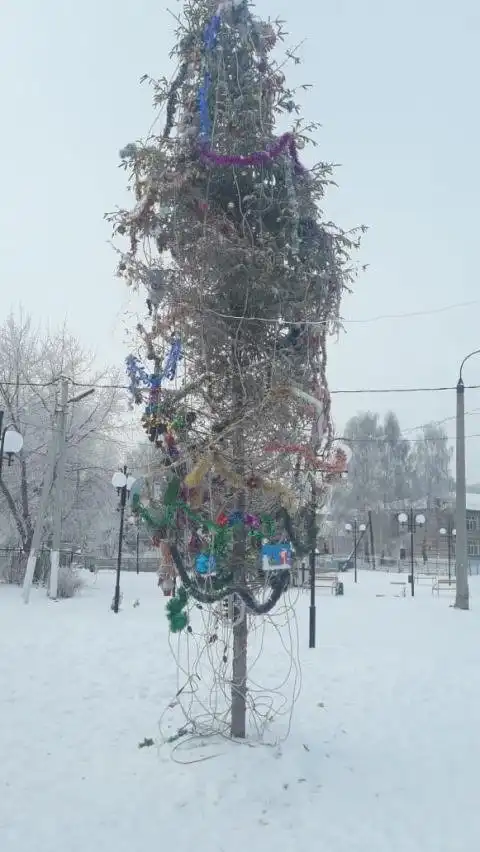 Жители поселка в Татарстане потребовали убрать наряженную к праздникам ёлку