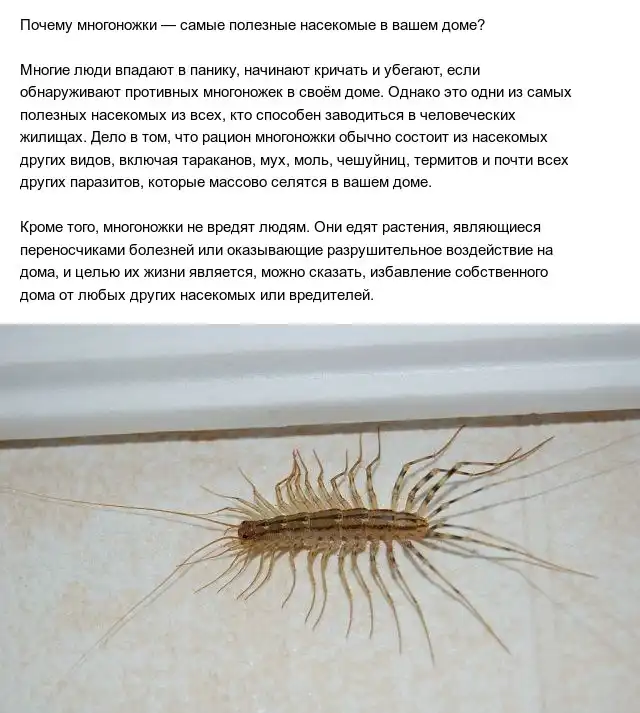 Интересные ответы на интригующие вопросы