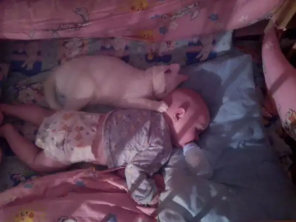 Спящие дети это не только мило, но и наконец-то