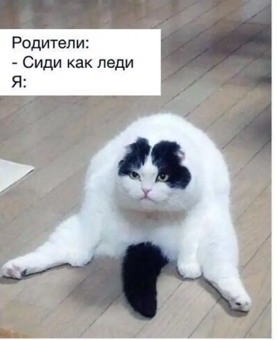 Немного картинок для настроения