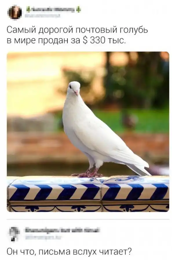 Прикольные картинки абавсём:D