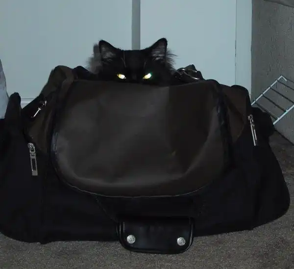 Калейдоскоп Картинок