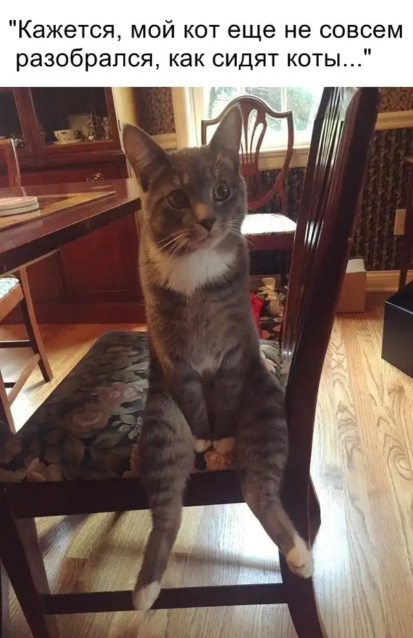 Немного картинок для настроения